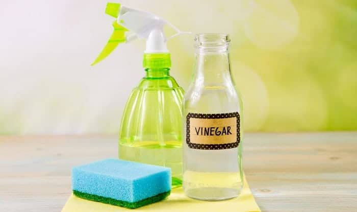 cleaning-solar-lights-with-vinegar