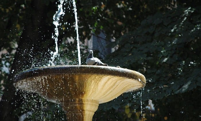 best-solar-fountain-pump